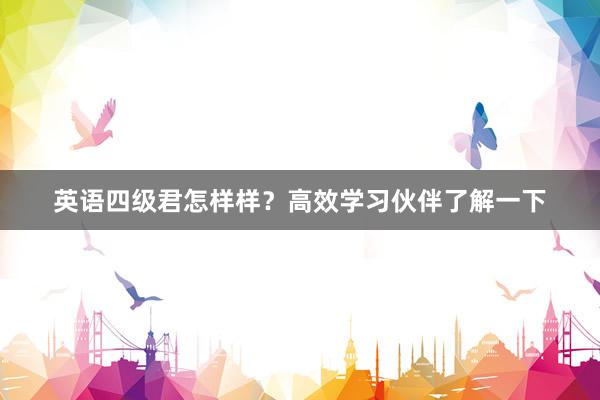 英语四级君怎样样？高效学习伙伴了解一下