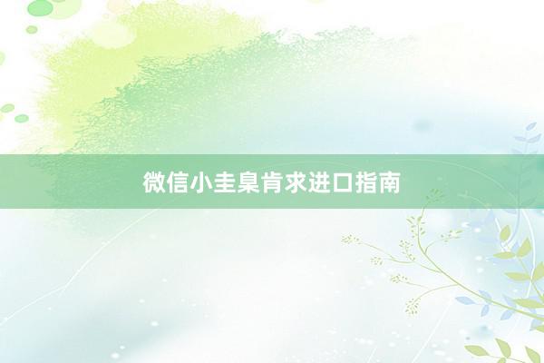 微信小圭臬肯求进口指南