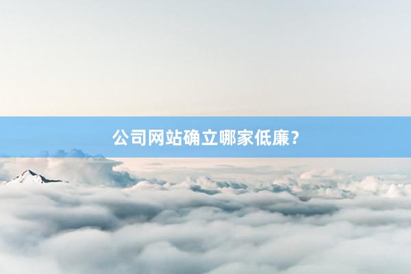 公司网站确立哪家低廉？