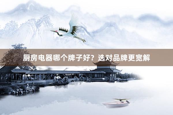 厨房电器哪个牌子好？选对品牌更宽解
